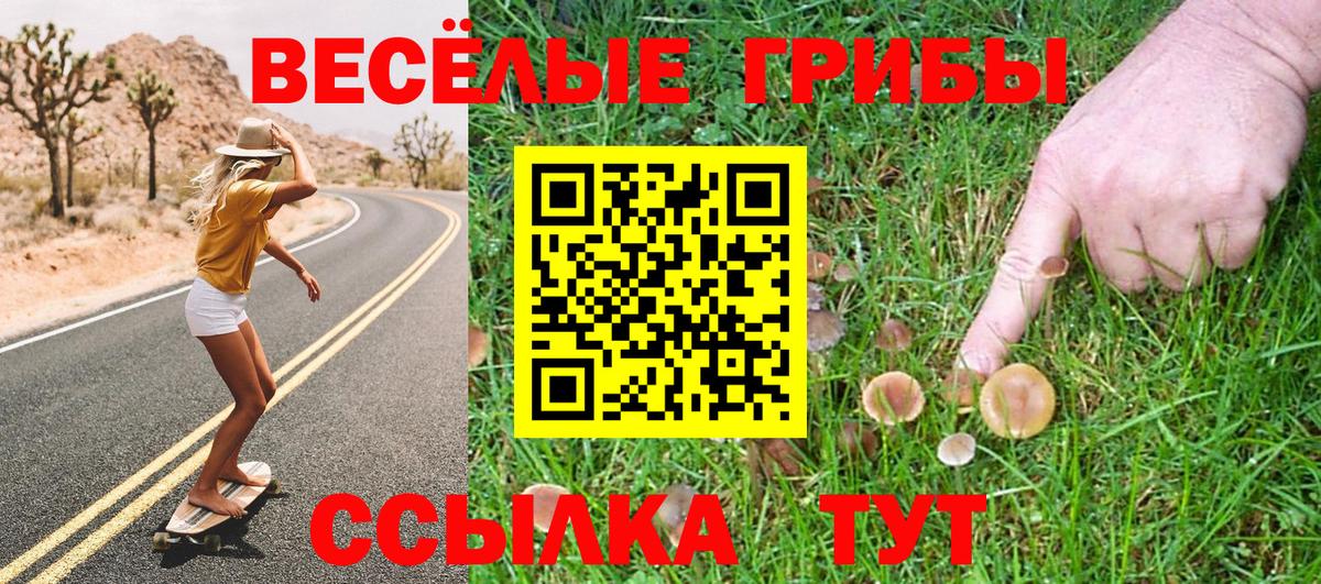 Псилоцибиновые грибы Cubensis  хочу наркоту  Ногинск  Вход с VPN  Псилоцибиновые грибы мицелий 