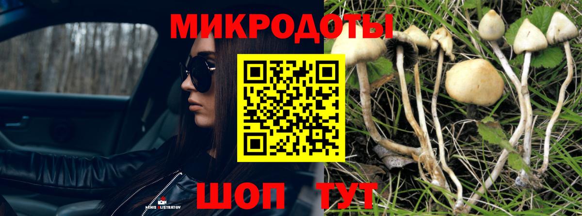 Галлюциногенные грибы MAGIC MUSHROOMS Ногинск